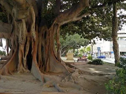 - Abad Appartement *